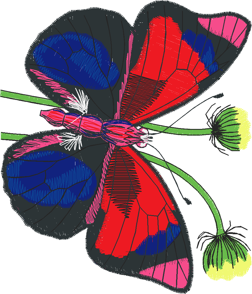 Butterflies 13  (41)