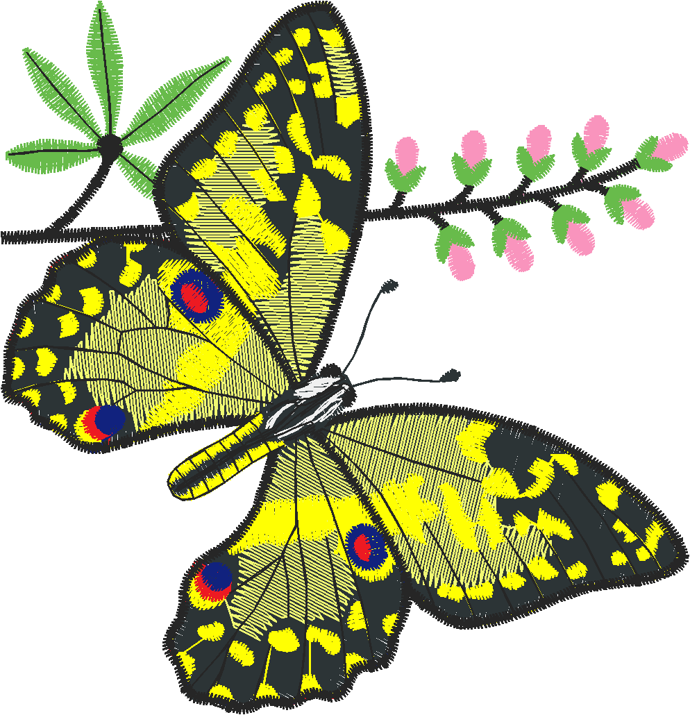 Butterflies 13  (42)