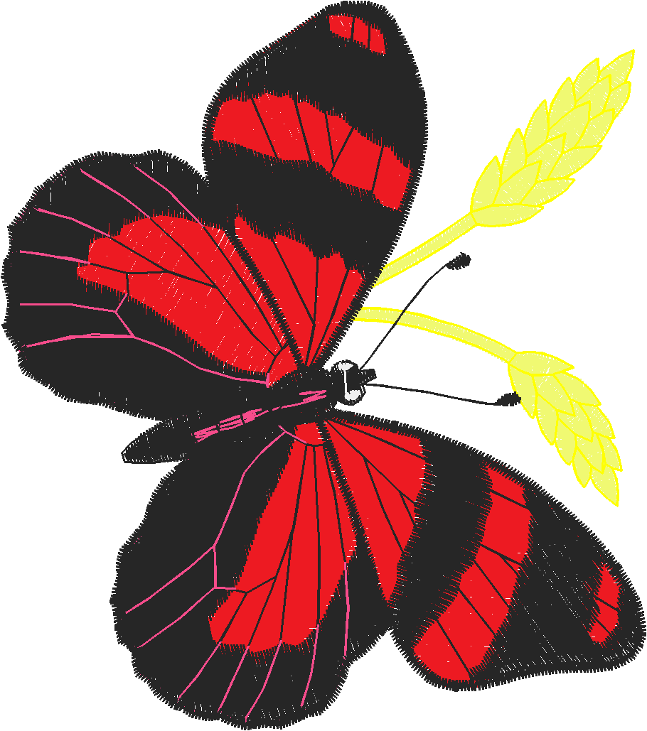 Butterflies 13  (43)