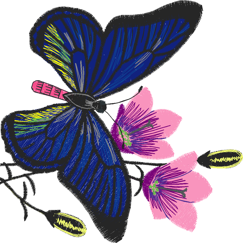 Butterflies 13  (45)