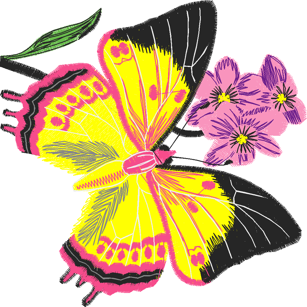 Butterflies 13  (46)