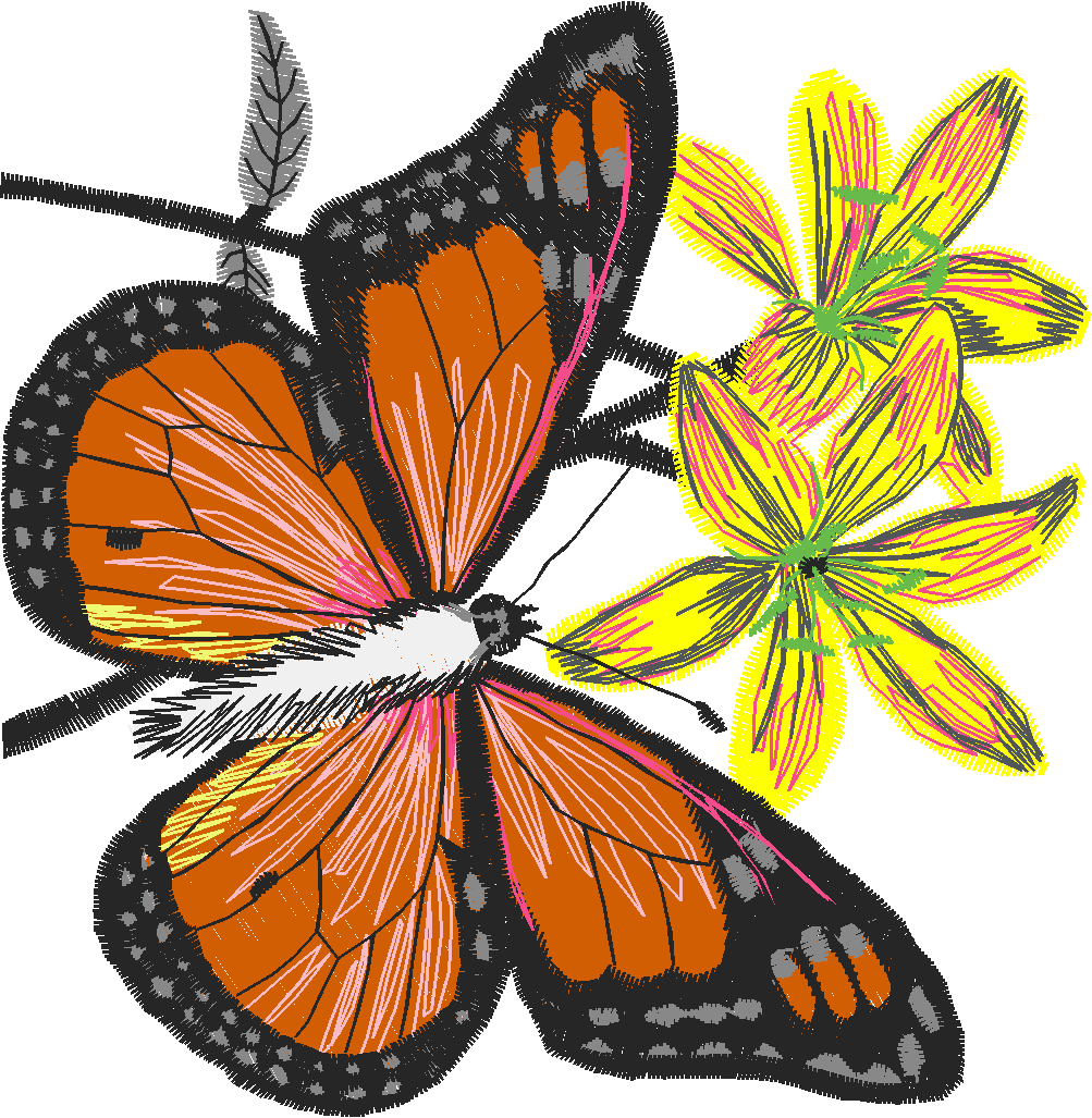 Butterflies 13  (47)