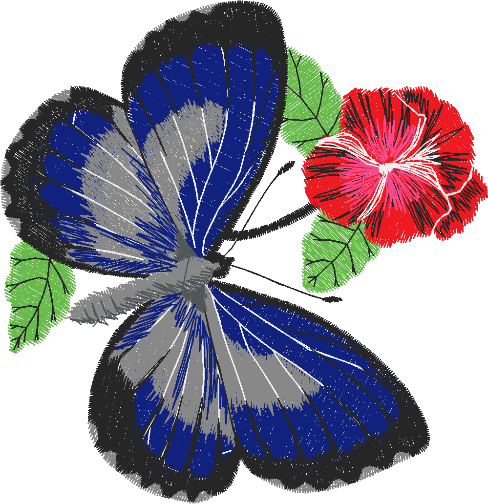 Butterflies 13  (48)