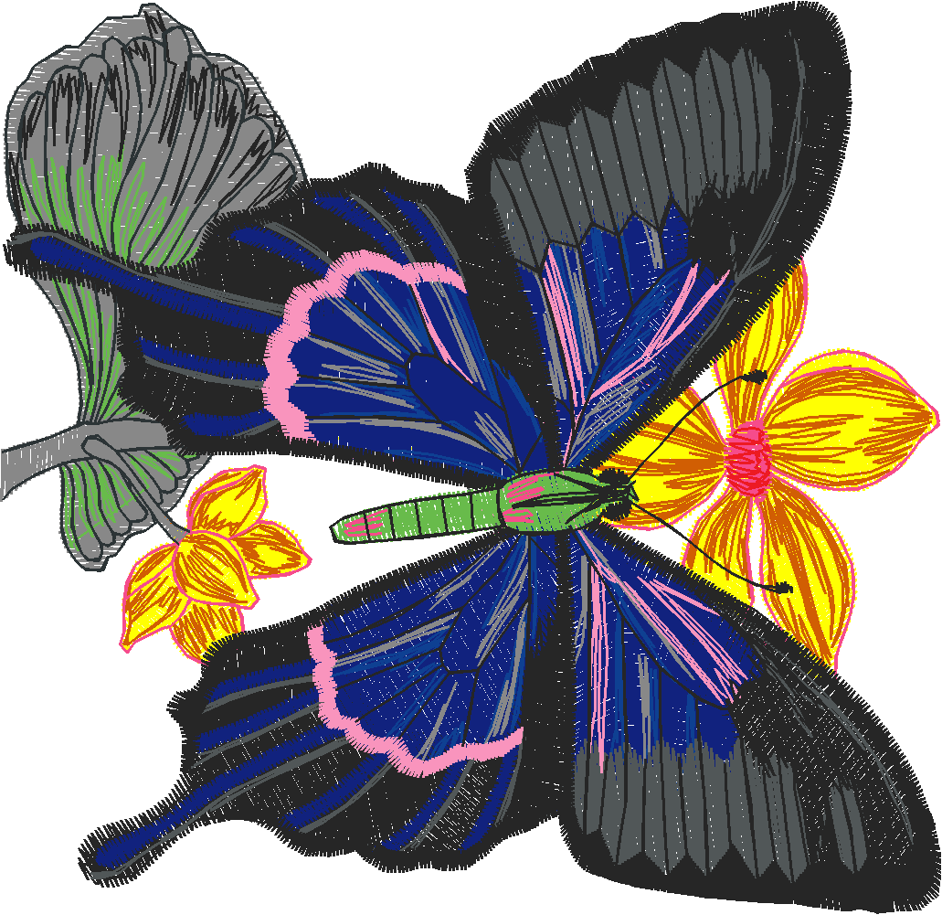 Butterflies 13  (49)