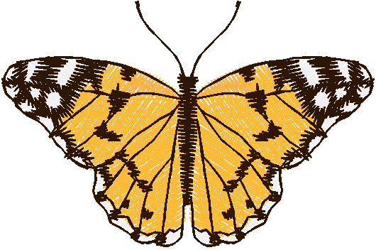 Butterflies 14  (10)