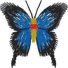 Butterflies 14  (11)