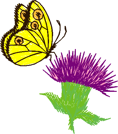 Butterflies 14  (15)