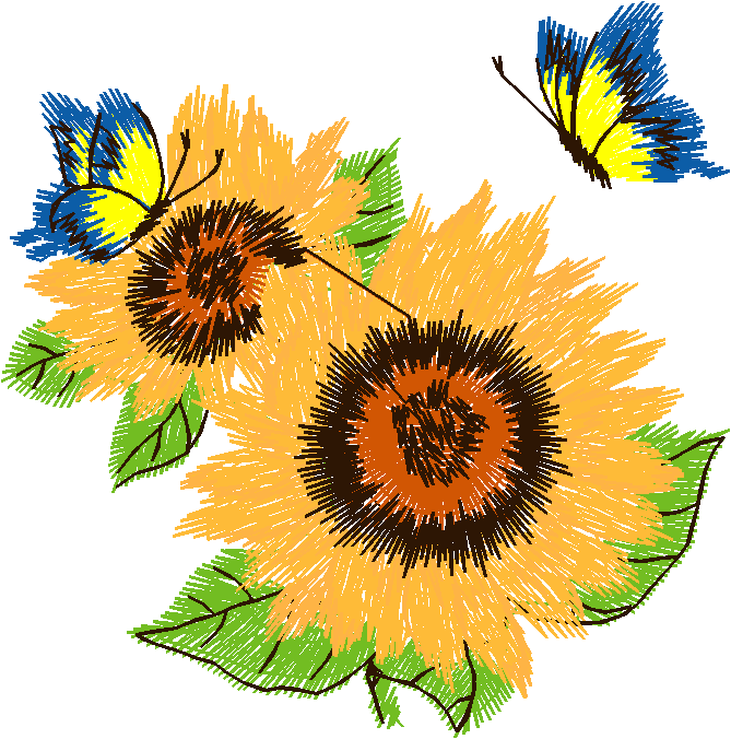 Butterflies 14  (16)