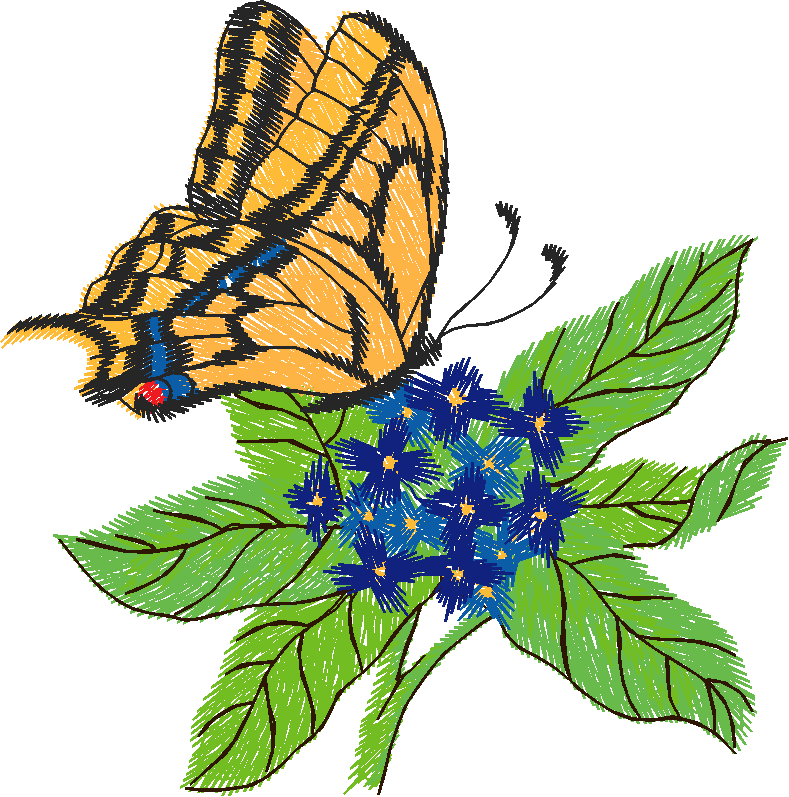 Butterflies 14  (17)