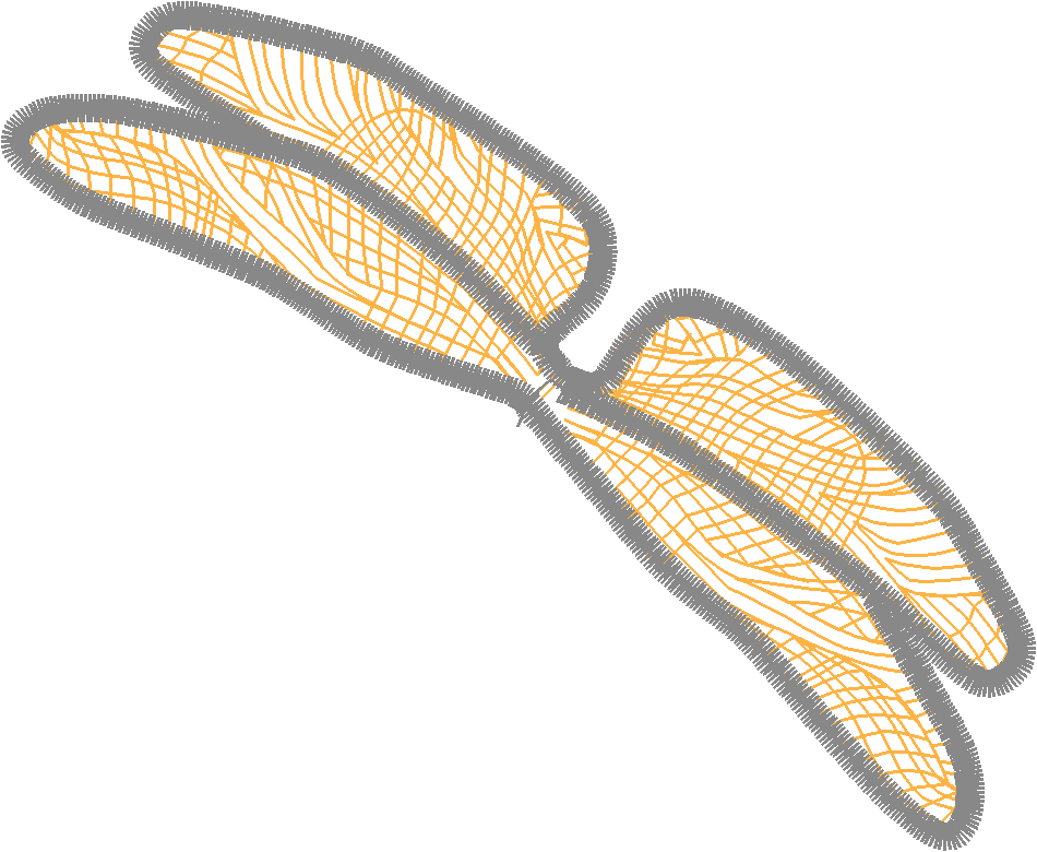 Butterflies 15  (11)