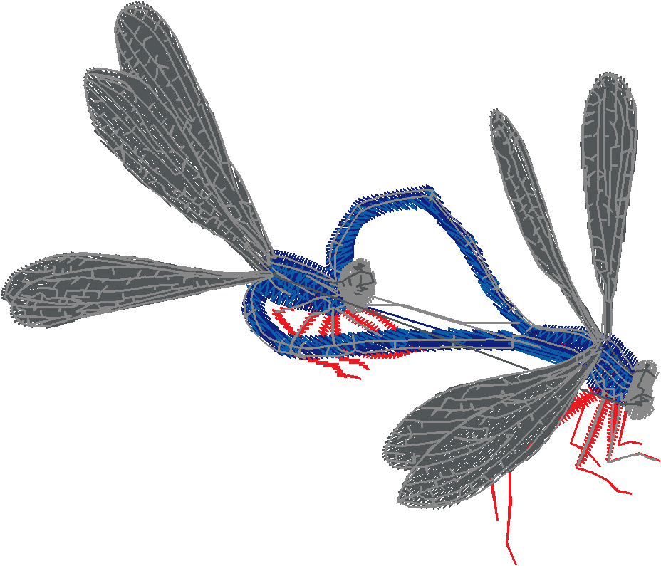 Butterflies 15  (12)