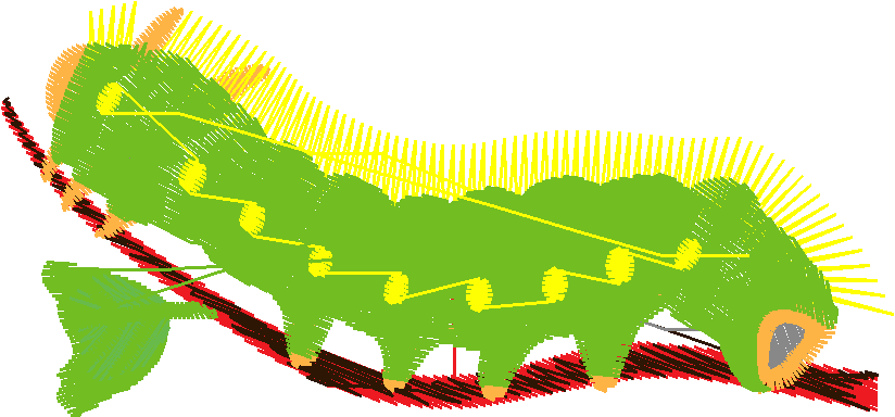 Butterflies 15  (14)