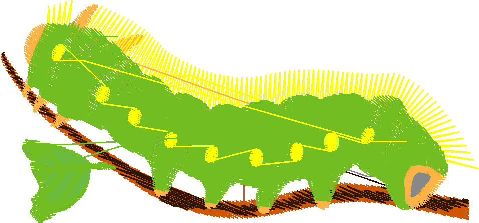 Butterflies 15  (15)