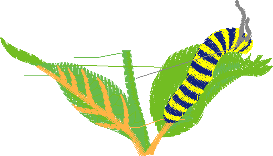 Butterflies 15  (16)