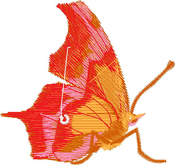 Butterflies 15  (20)