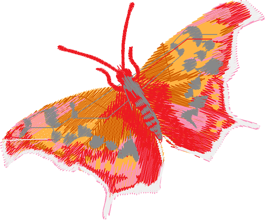 Butterflies 15  (21)