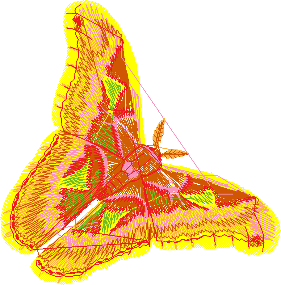 Butterflies 15  (22)