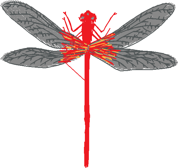 Butterflies 15  (23)