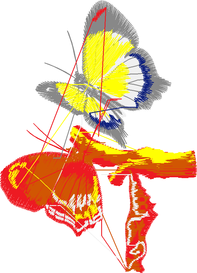 Butterflies 15  (25)