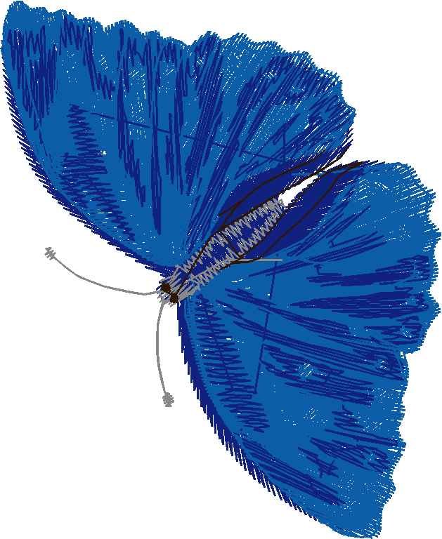 Butterflies 15  (7)