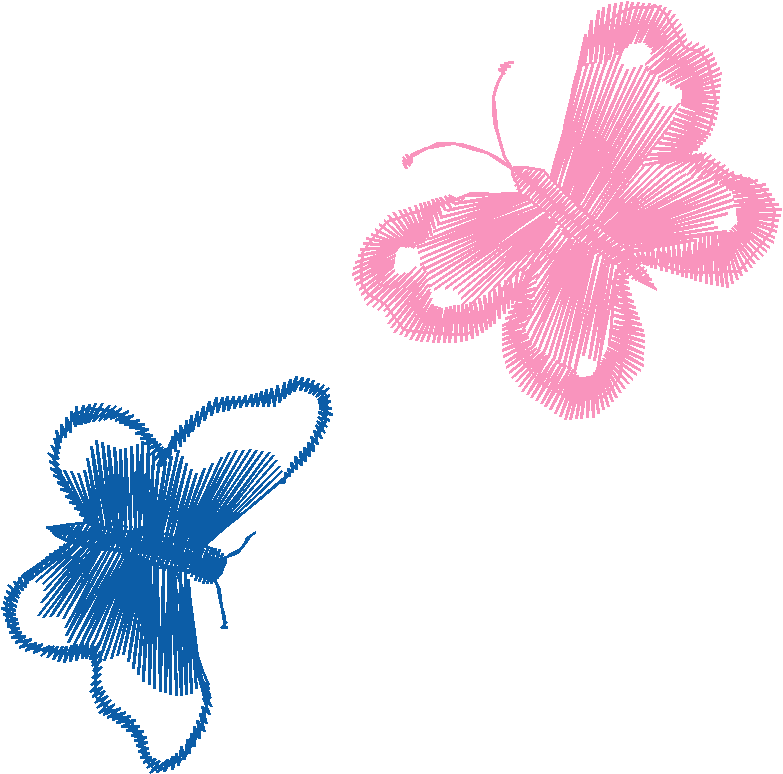 Butterflies 16  (15)