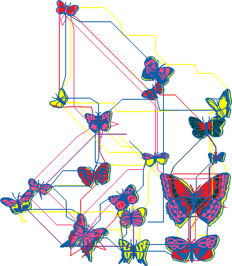 Butterflies 16  (16)