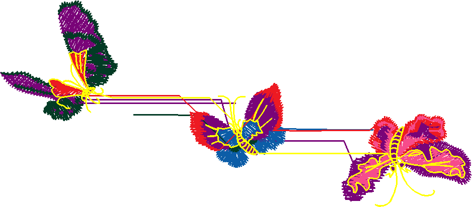 Butterflies 16  (17)