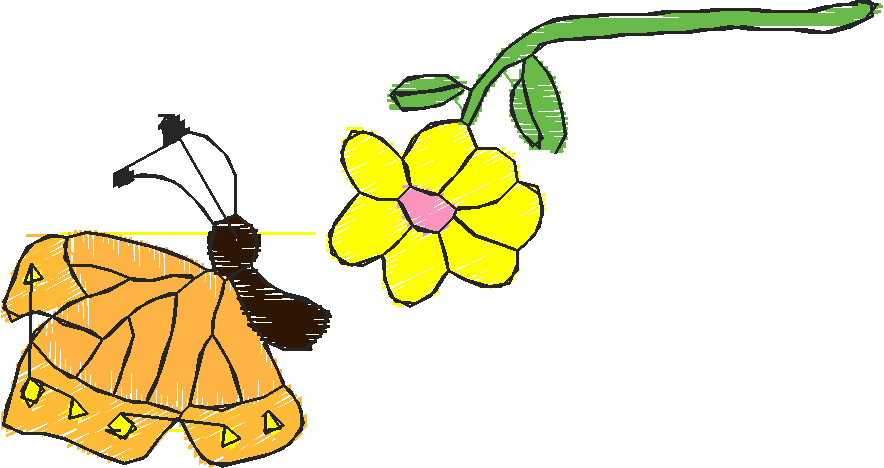 Butterflies 16  (18)