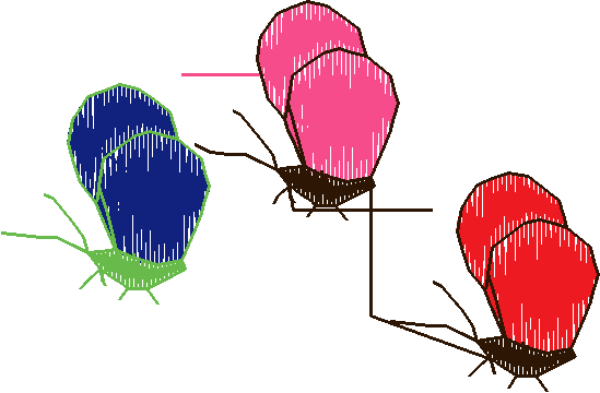 Butterflies 16  (19)