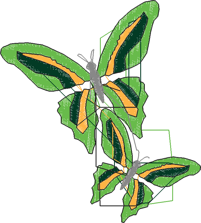 Butterflies 16  (20)