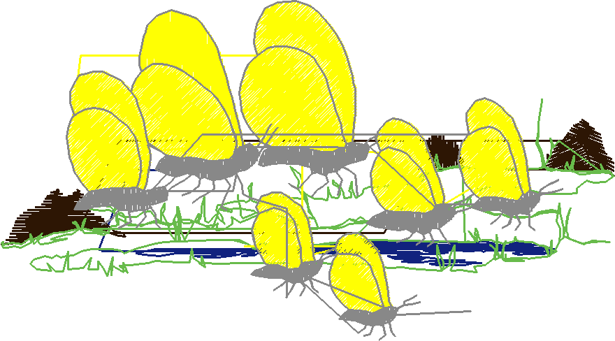 Butterflies 16  (21)