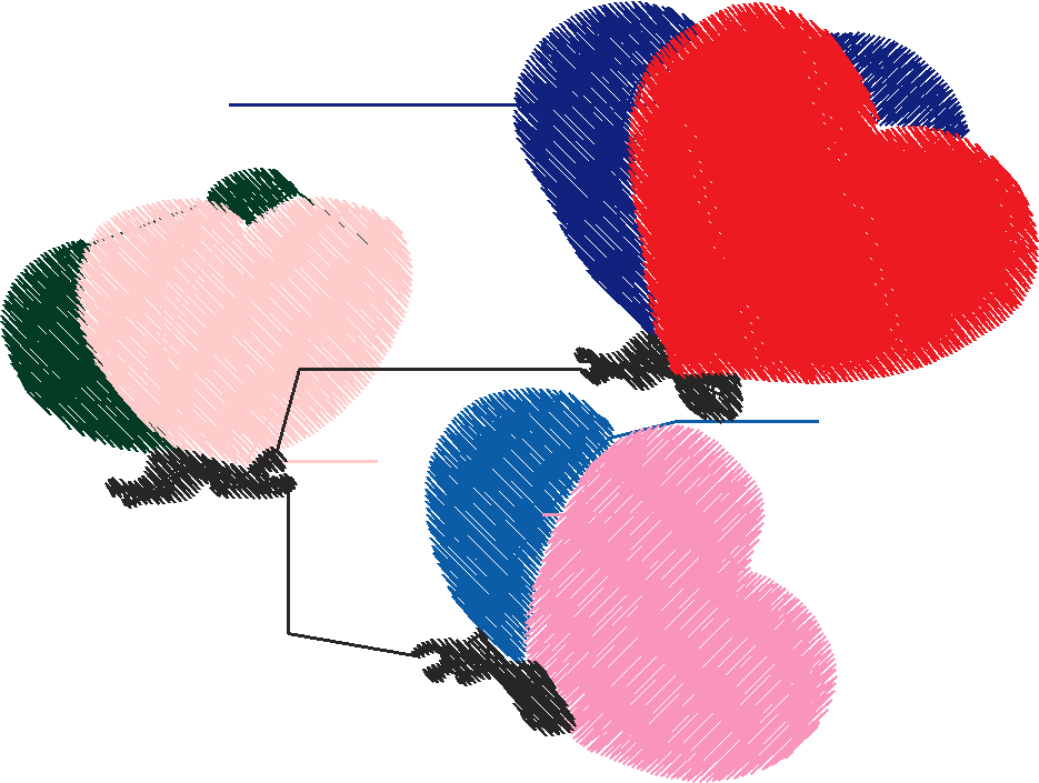 Butterflies 16  (25)