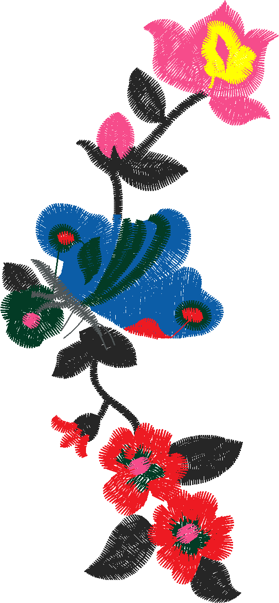 Butterflies 16  (30)