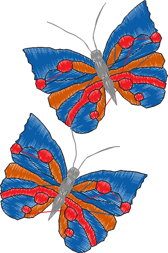 Butterflies 16  (32)