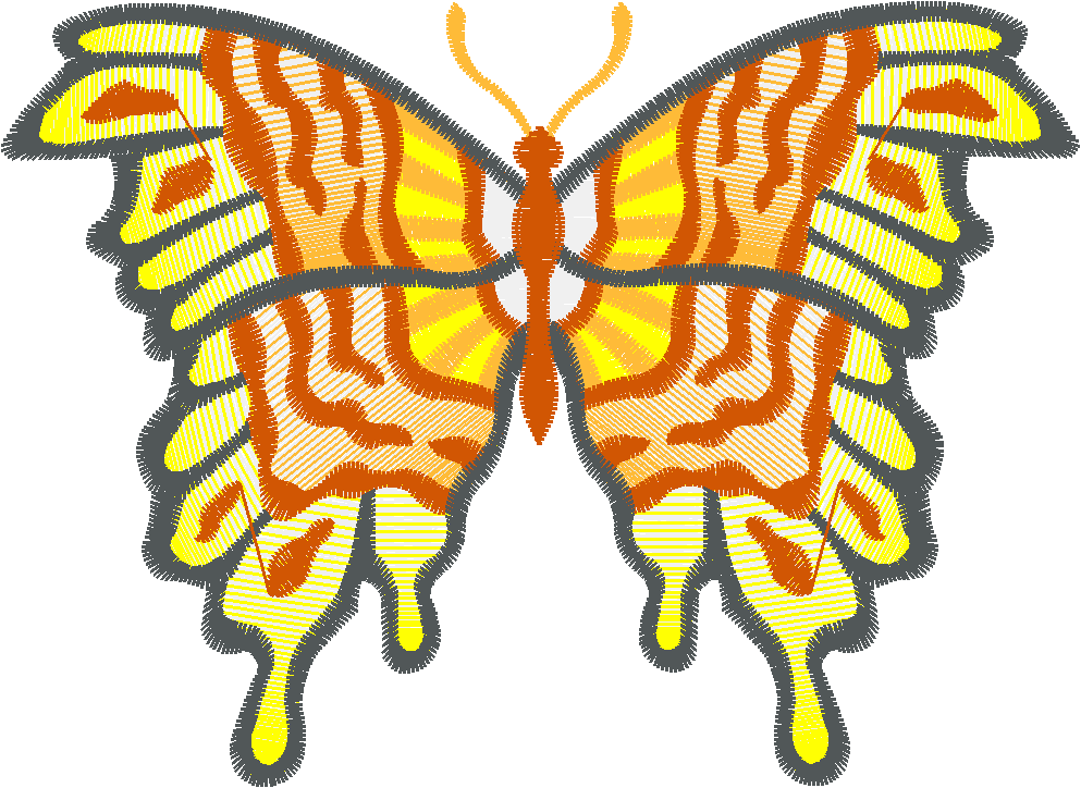 Butterflies 17  (12)