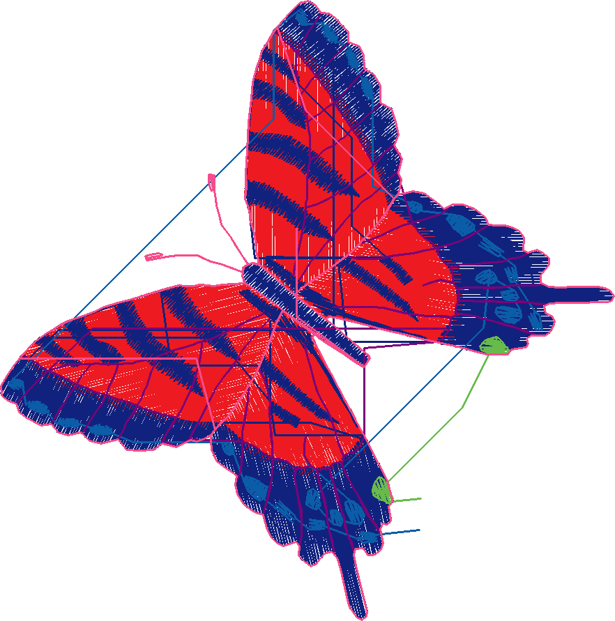 Butterflies 18 (101)