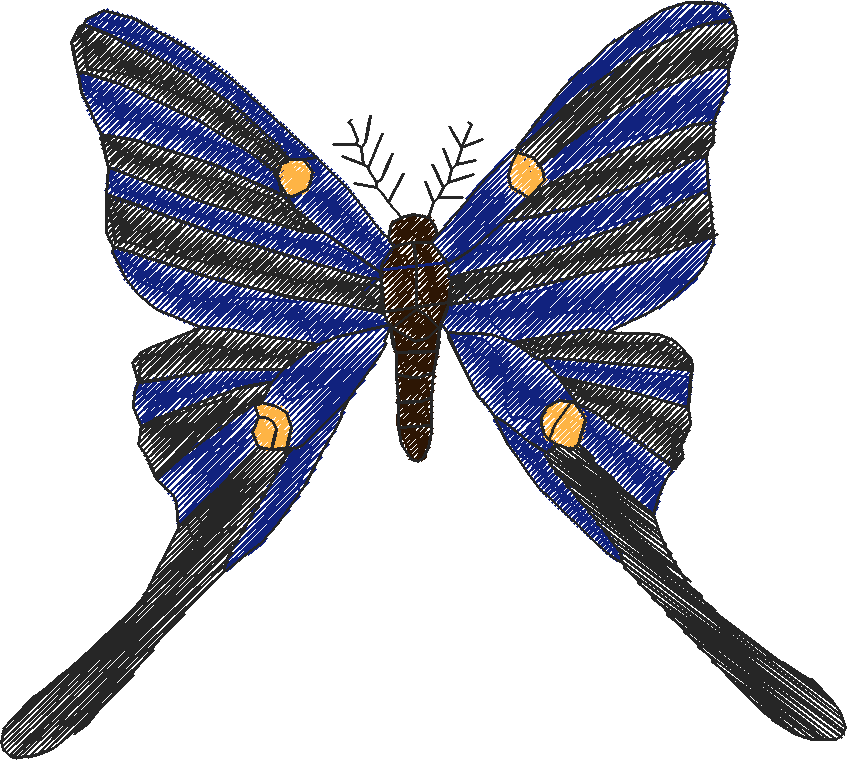 Butterflies 18 (111)