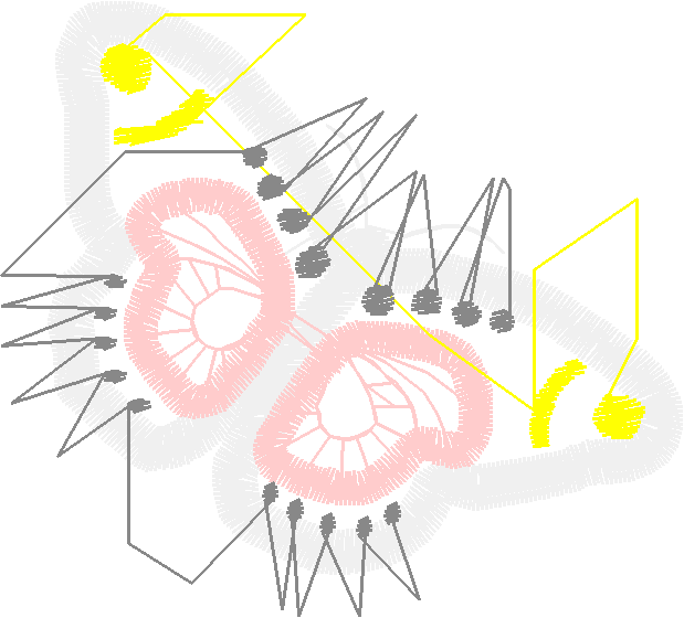 Butterflies 18 (116)