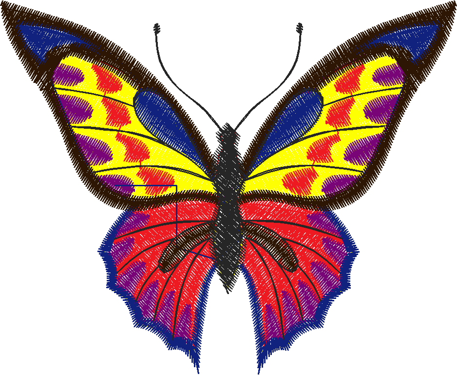 Butterflies 18 (122)