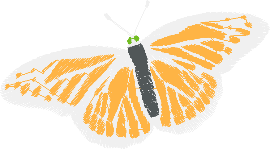 Butterflies 18 (127)