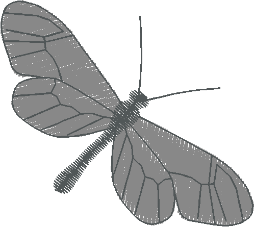 Butterflies 18 (130)