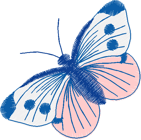 Butterflies 18 (131)