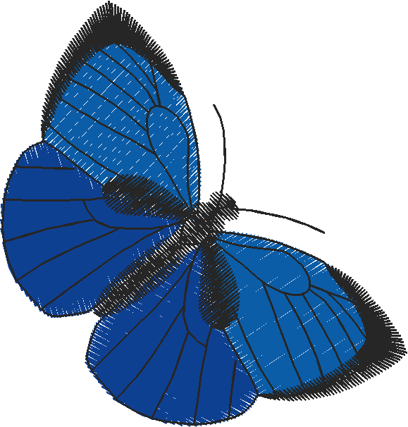 Butterflies 18 (133)