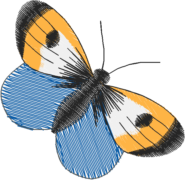 Butterflies 18 (134)