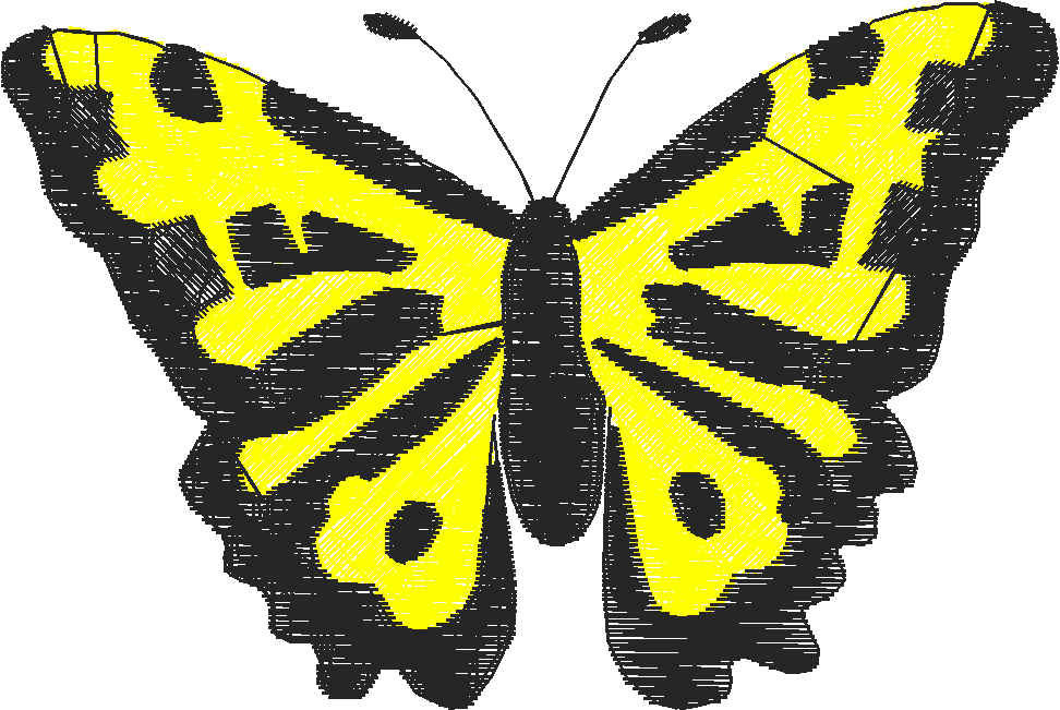 Butterflies 18 (145)