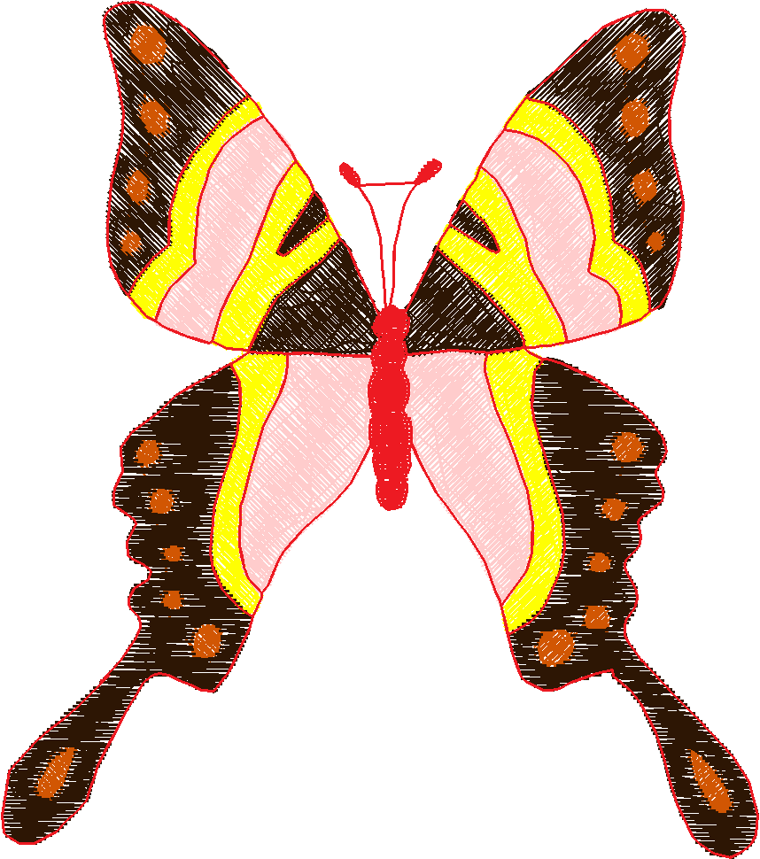 Butterflies 18 (146)