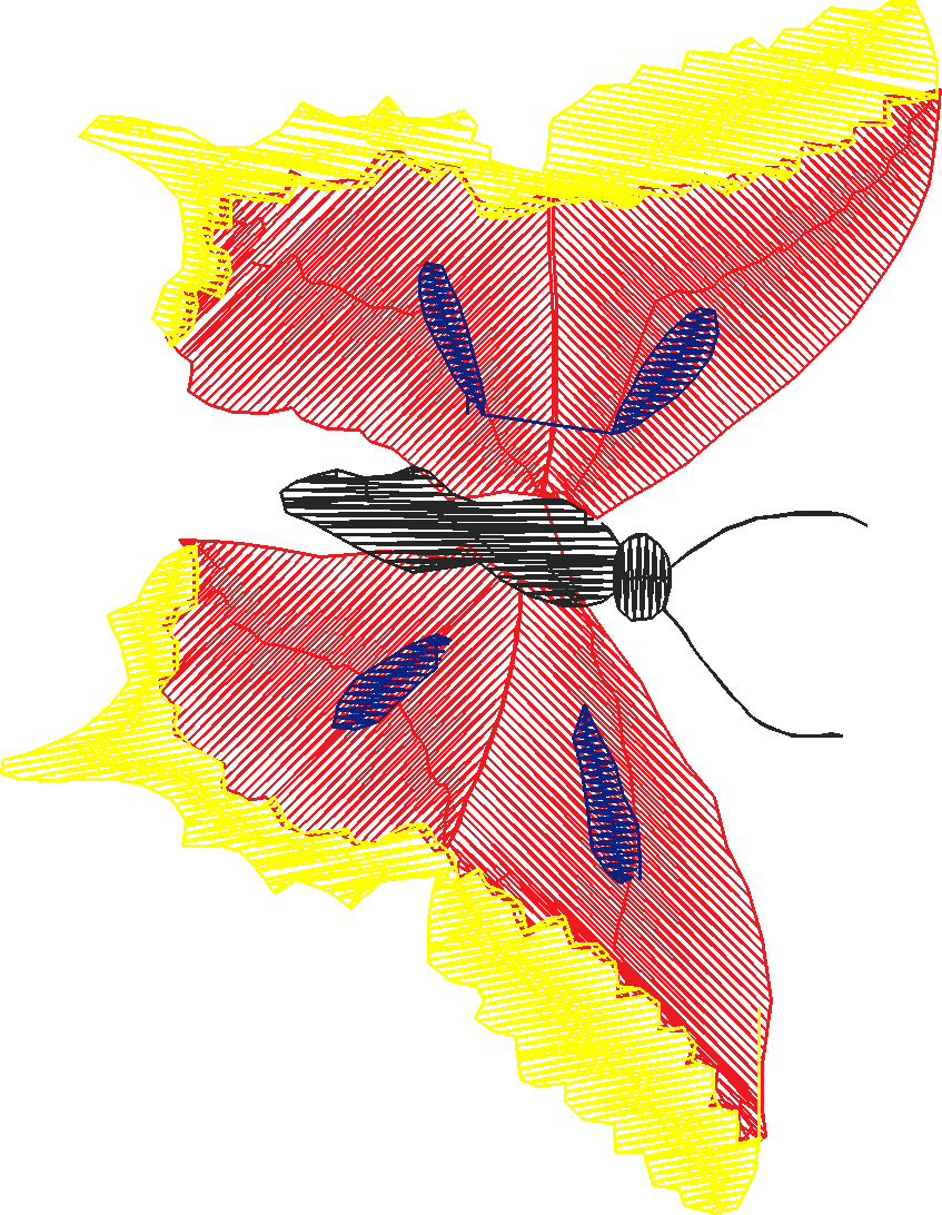 Butterflies 18 (156)