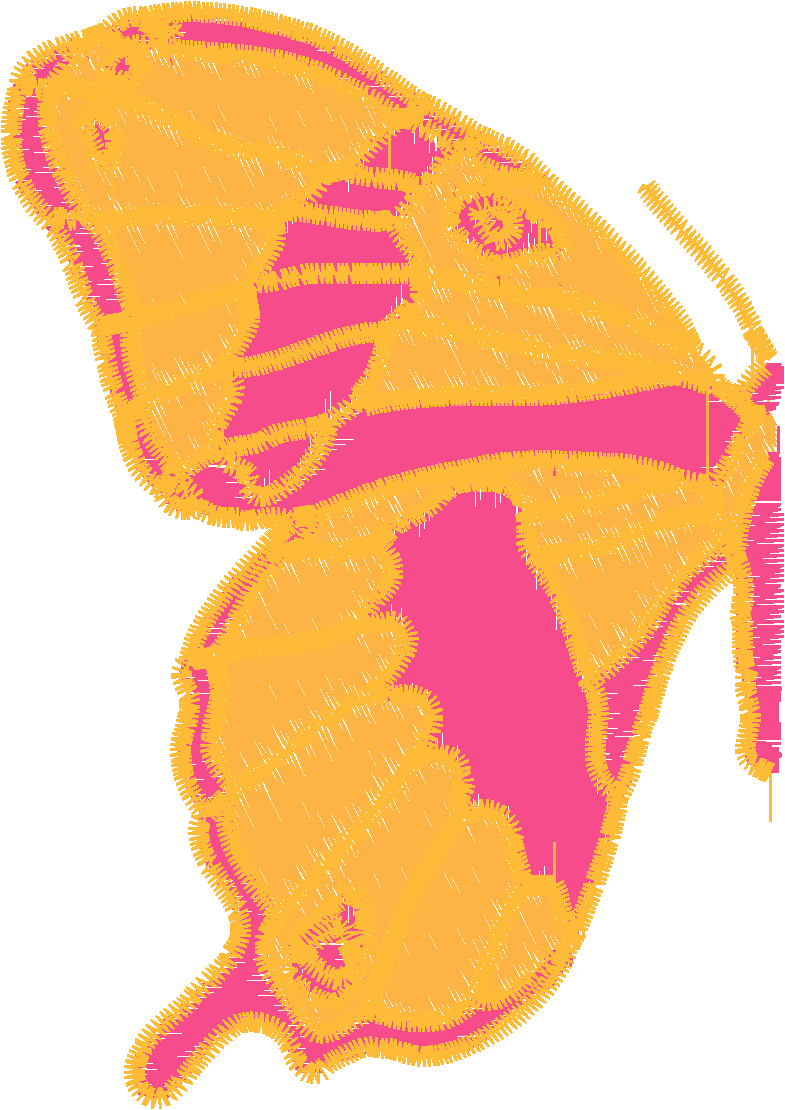 Butterflies 18 (157)