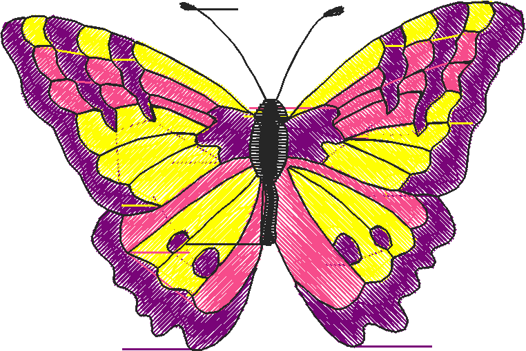 Butterflies 18 (165)