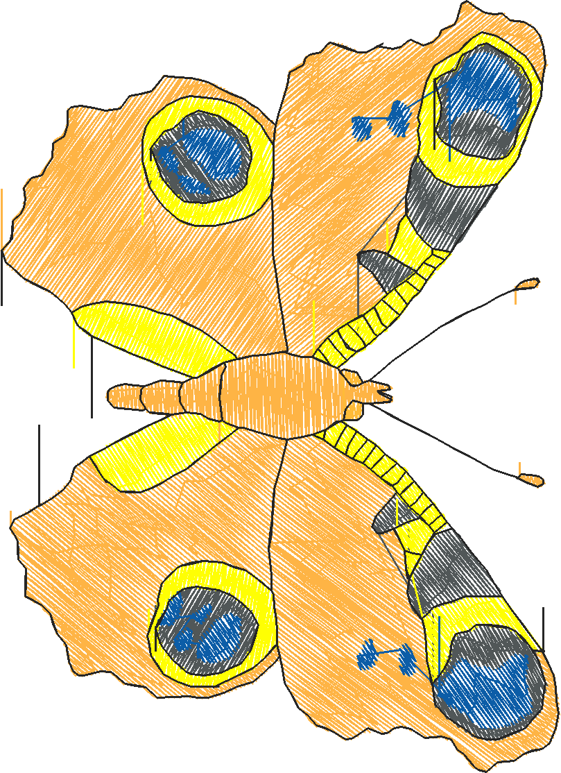 Butterflies 18 (178)